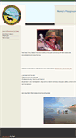 Mobile Screenshot of nancysplaygroups.com